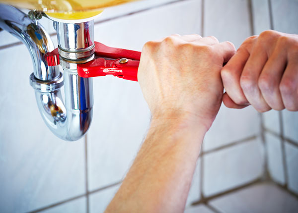 About Molt Plumbers